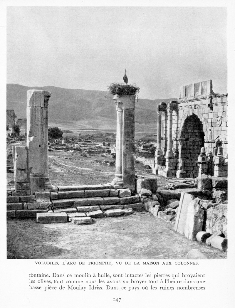LE MAROC (J. - L. Miège) - Page 6 Maroc166