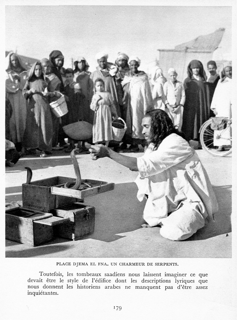 LE MAROC (J. - L. Miège) - Page 8 Maroc199