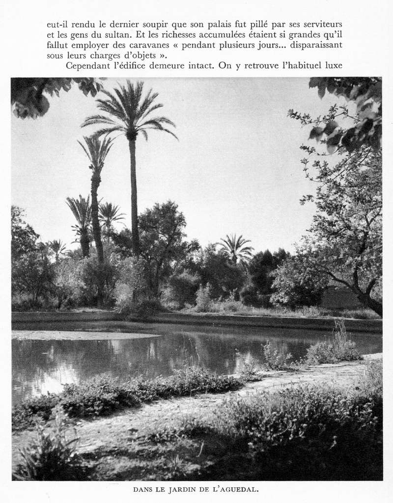 LE MAROC (J. - L. Miège) - Page 8 Maroc209
