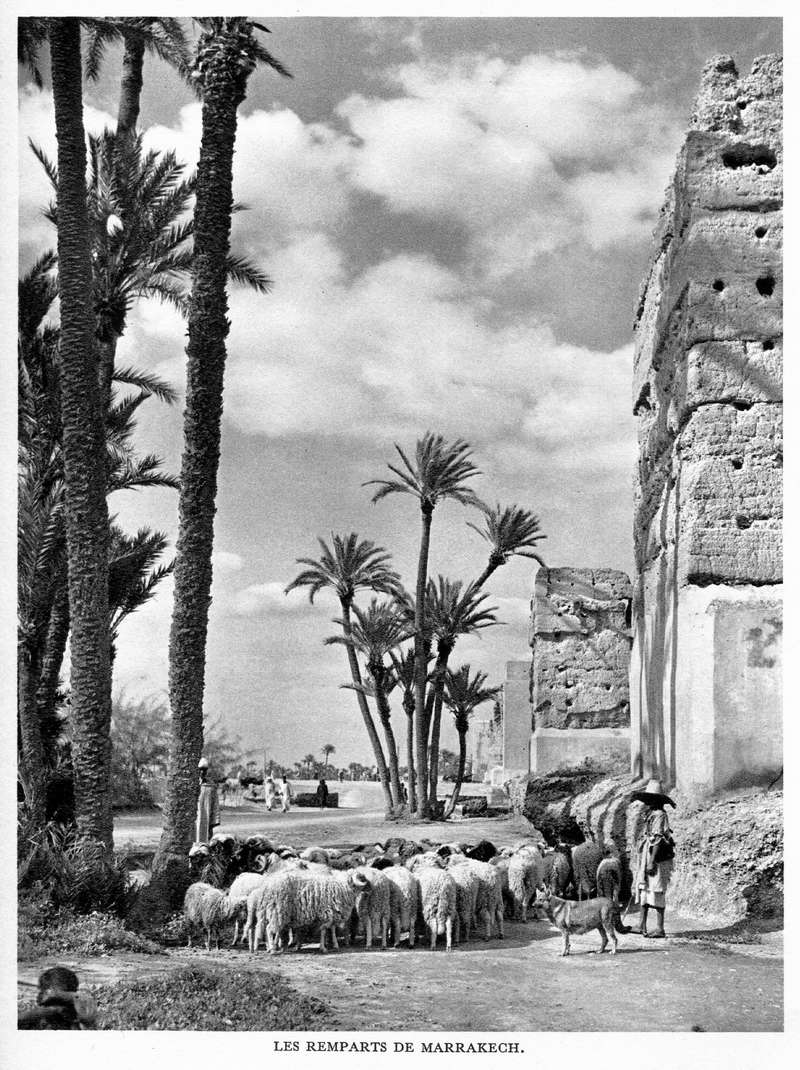 LE MAROC (J. - L. Miège) - Page 8 Maroc210