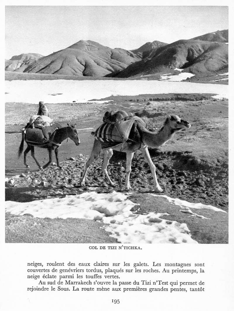 LE MAROC (J. - L. Miège) - Page 8 Maroc215