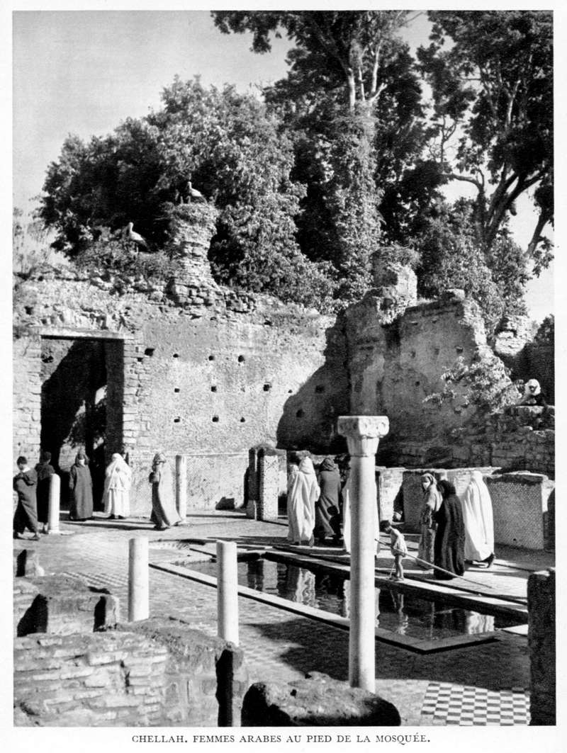 LE MAROC (J. - L. Miège) - Page 3 Maroc_75