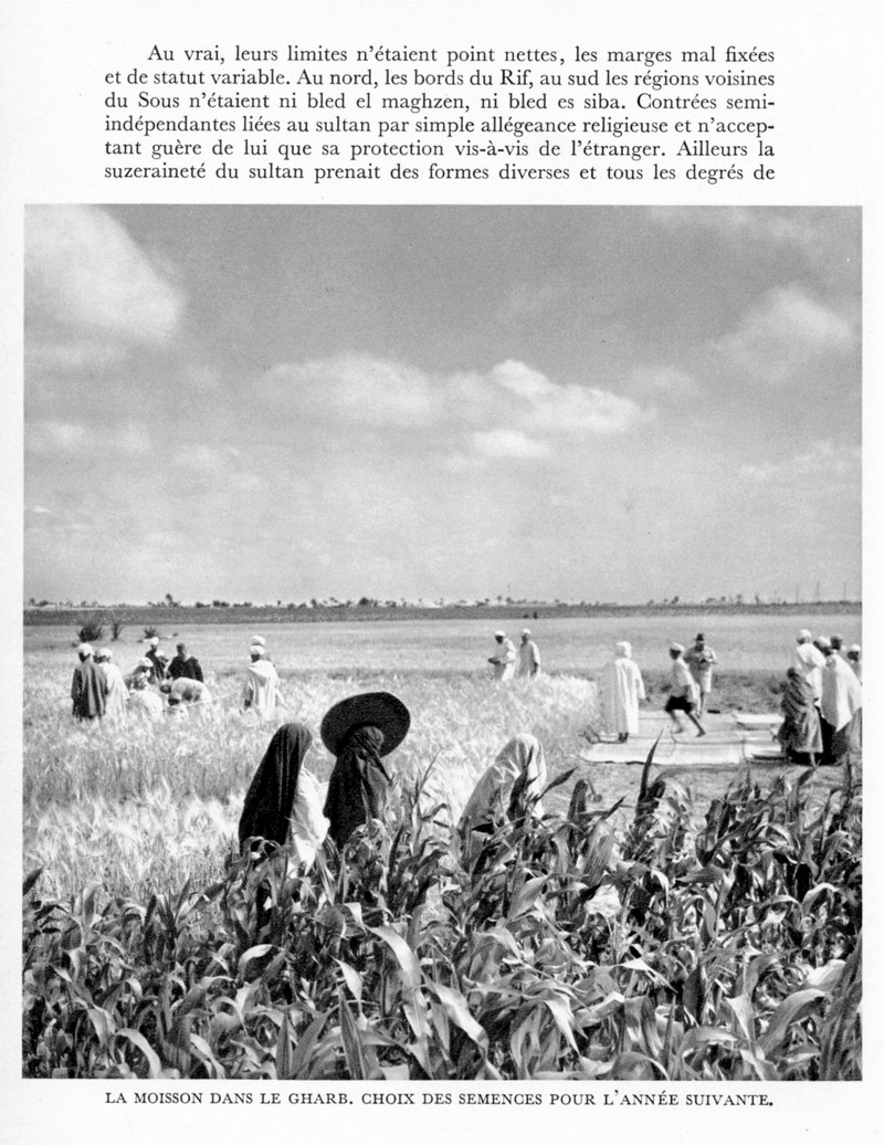 LE MAROC (J. - L. Miège) - Page 4 Maroc_97