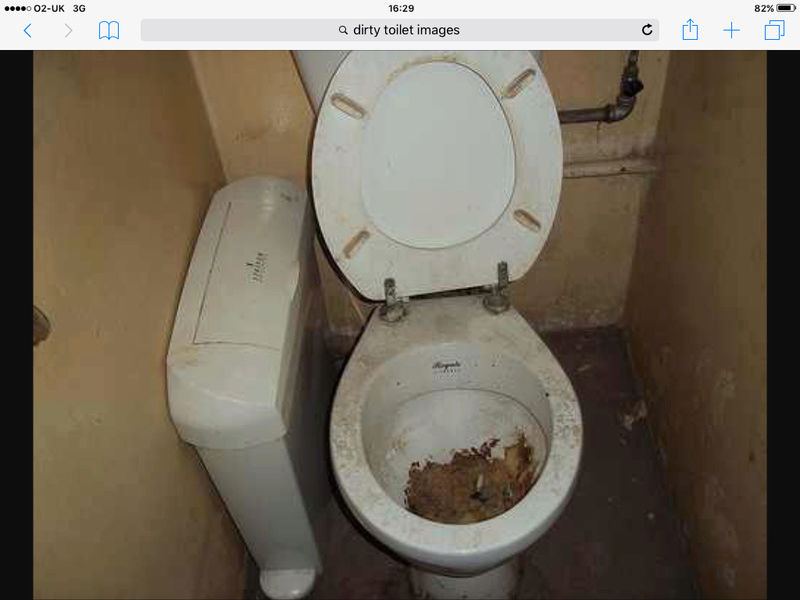 Victorian toilets on Isle of Bute. Image11