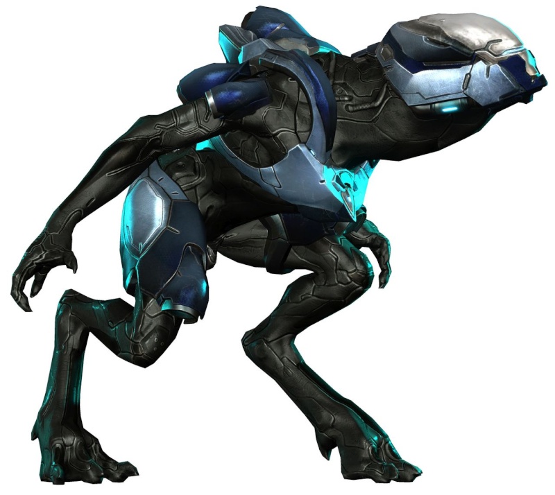 Ennemis de Halo 4 (Sangheili/Jackal/Creature/Forerunner/Grognard/Brutes/Bestiaire/Storm/ Warrior/Heavy/Imperial/Ranger/Commandant/Battlewagon/Race/Cavalier/Observateur/Watcher/ Rampant/Lanceur/Chevalier/Knight/Prométhéen/Zealot/Grunt/Crawler/Covenants) - Page 28 Halo-417