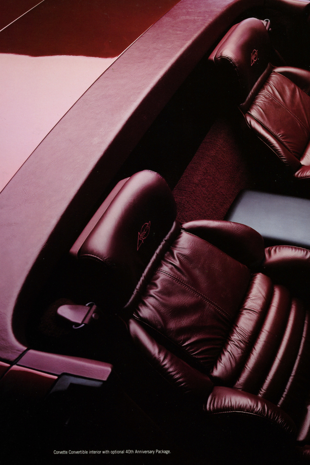 Seat Belts sur C4 Img08910