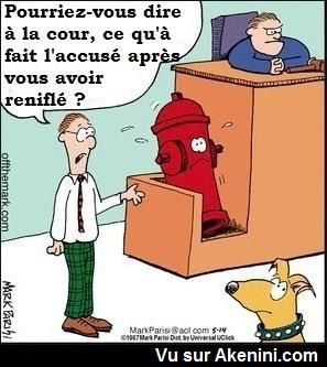 HUMOUR - blagues - Page 17 008ebd10