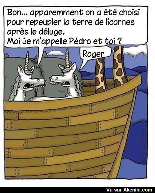 HUMOUR - blagues - Page 20 06a28c10