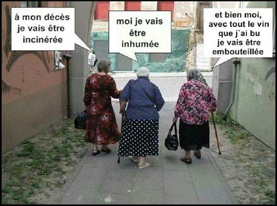 HUMOUR - blagues - Page 14 394a7210
