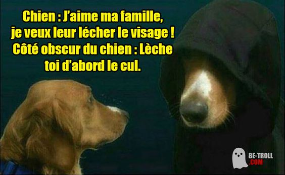 HUMOUR - blagues - Page 2 453a1010