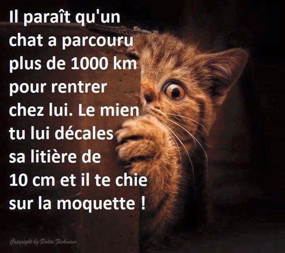 HUMOUR - blagues - Page 15 67801c10