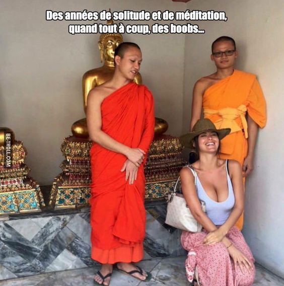HUMOUR - blagues - Page 14 7325b210