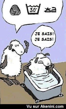 HUMOUR - blagues - Page 3 74ea1f10