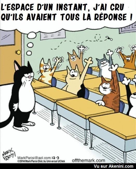 HUMOUR - blagues - Page 20 9436bc10