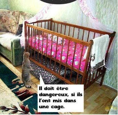 HUMOUR - blagues - Page 4 9bb9bf10