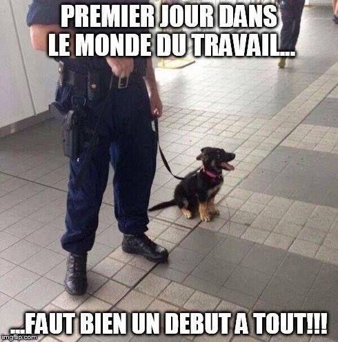 HUMOUR - blagues - Page 3 9ee2d410
