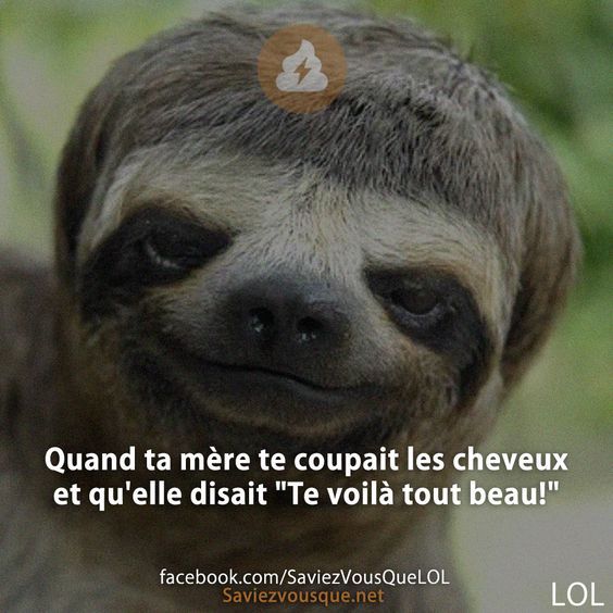 HUMOUR - blagues - Page 19 Af90bb10