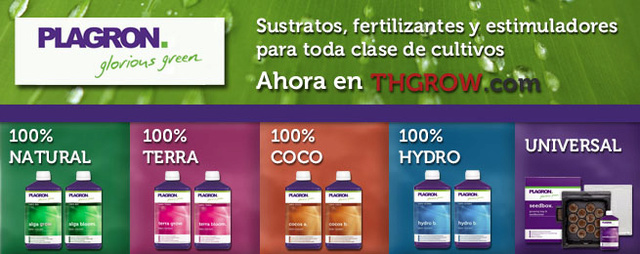 THgrow Promoções Banner10