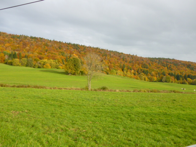 Paysage d'automne P1000214