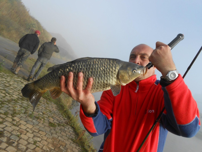 Street fishing Bxl: les résultats de la team Carp10