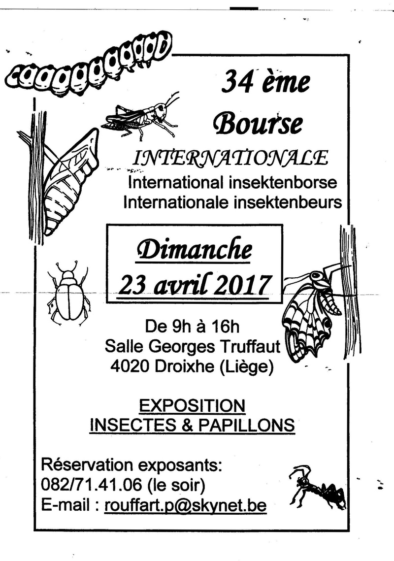 Bourse aux insectes Liège-Droixhe 00110