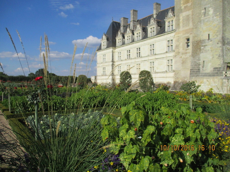 Chateau de Villandry et ses jardins (37) Img_2124