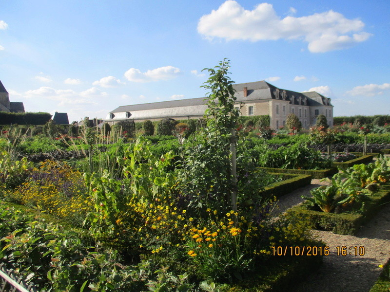 Chateau de Villandry et ses jardins (37) Img_2128