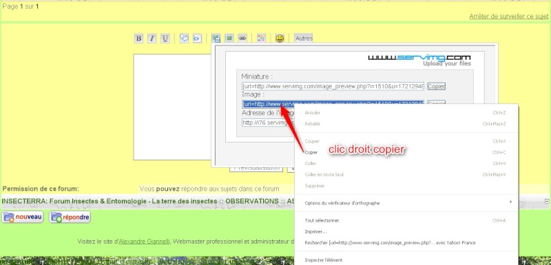 mettre une image dans un message - comment mettre une photos sur le forum 311