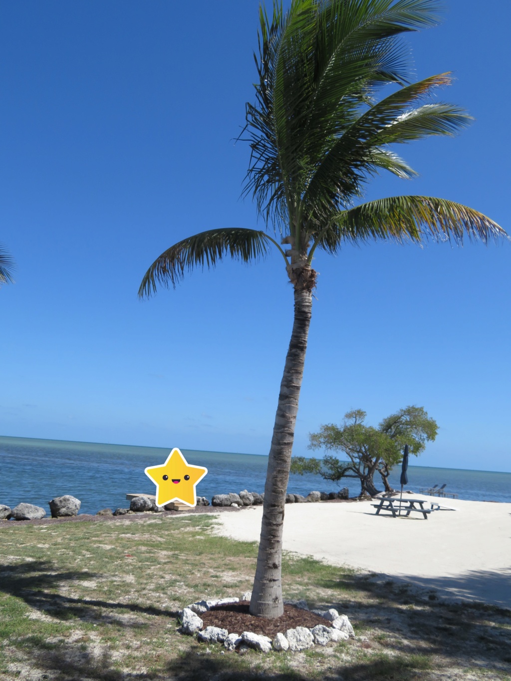 2019 - Avril 2019: Retour en Floride pour un séjour qui - cette fois - tient toutes ses promesses! (WDW-Universal-Côte Ouest-Everglades-Keys-Miami) [terminé] - Page 3 Img_3114