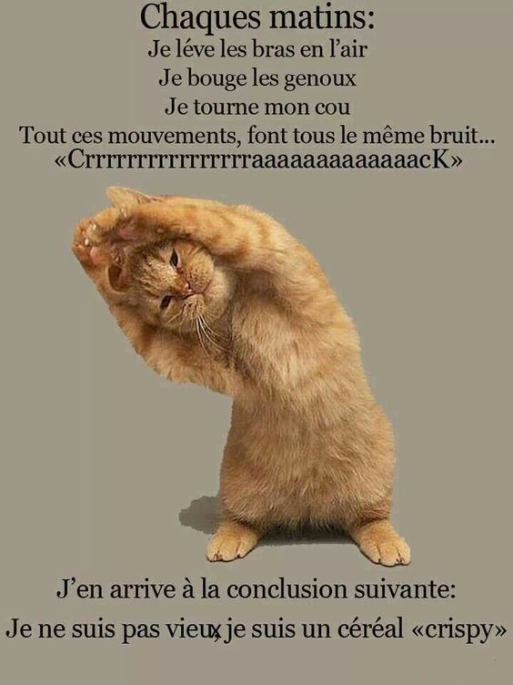 images humour  0d06ca10