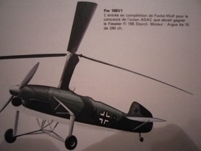 Hélicoptère Focke Wulf Fa 223 Imgp3845