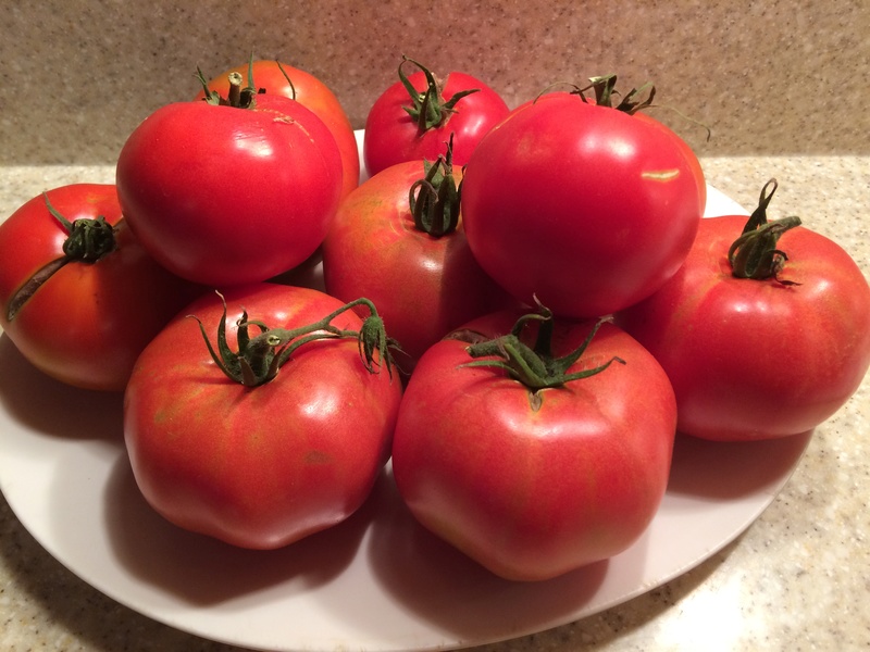 2016 SFG in Brooks, Ga - Page 11 Tomato14