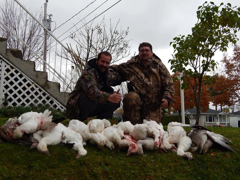 chasse à blanche 2016  14572910