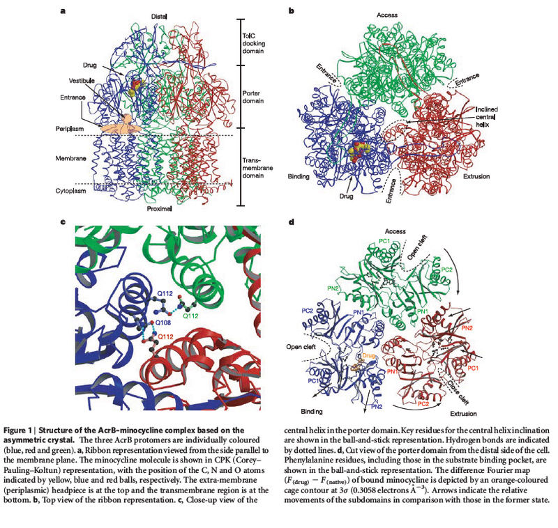 How Cell membrane proteins point to the requirement of planning, intelligence and design for their biosynthesis specific function, and insertion in the cell membrane Acrb_e17
