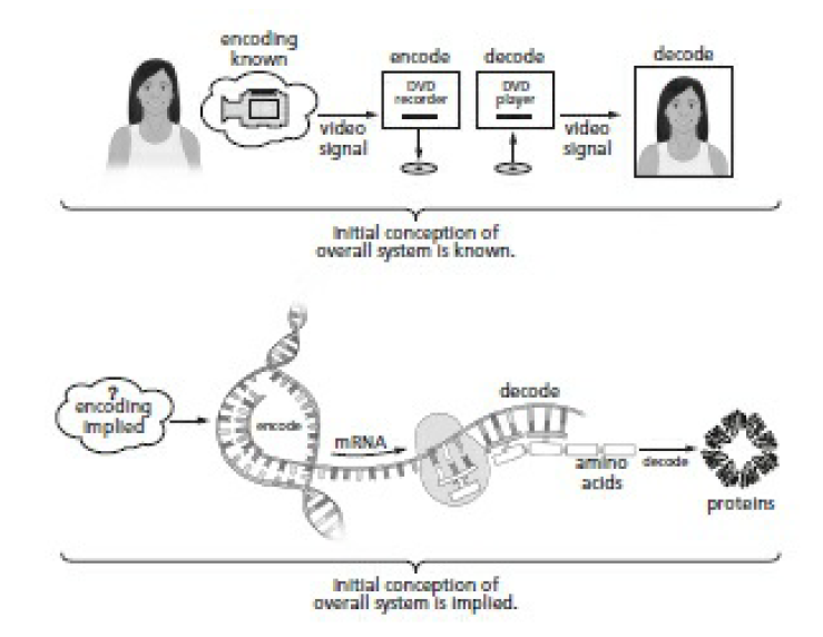 hardware - The hardware and software of the cell, evidence of design Coding10