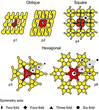 Biosynthesis of the cell membrane Fmr00311