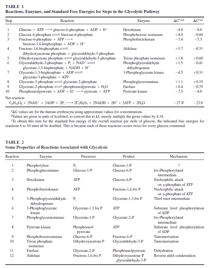 Glycolysis  Glycol11