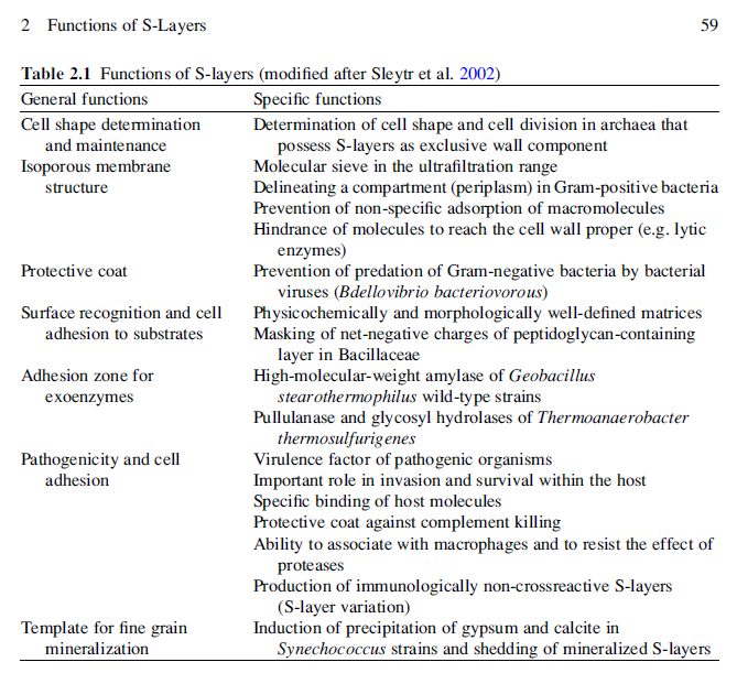 Biosynthesis of the cell membrane S_laye10