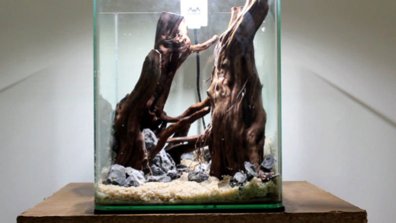 Nano 20L by Aymeriscape 411