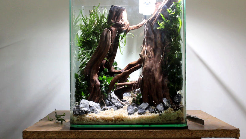 Nano 20L by Aymeriscape 511
