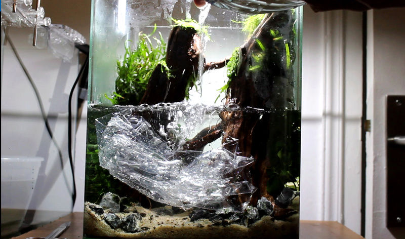 Nano 20L by Aymeriscape 611
