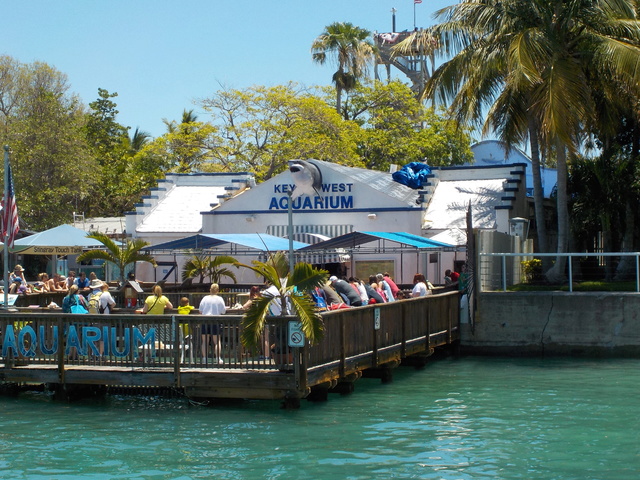 DCL sur le Magic "caraïbes de l'Ouest" (Key West/Grand Cayman/Cozumel/Castaway Cay et deux jours en mer!!) Dscn0517