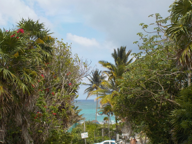DCL sur le Magic "caraïbes de l'Ouest" (Key West/Grand Cayman/Cozumel/Castaway Cay et deux jours en mer!!) - Page 2 Dscn1328