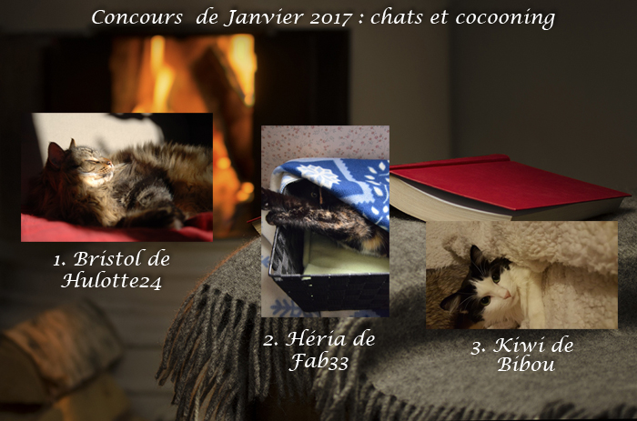 Gagnants du concours photo - Page 4 Cocoon10