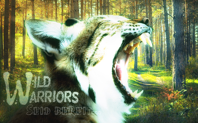 Wild Warriors Logo10