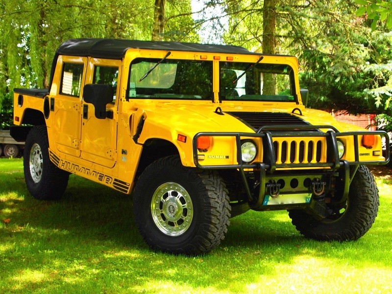 Histoire d'Hummer P1013213