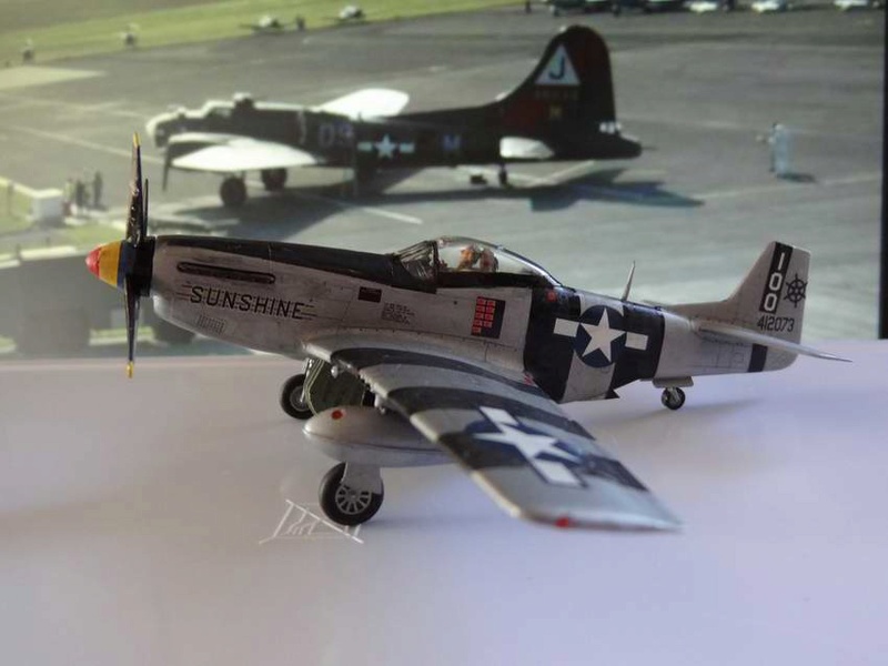 [HASEGAWA] NORTH AMERICAN P-51D/K MUSTANG combo AS du PACIFIQUE Réf 02020 - Page 2 026_p-12