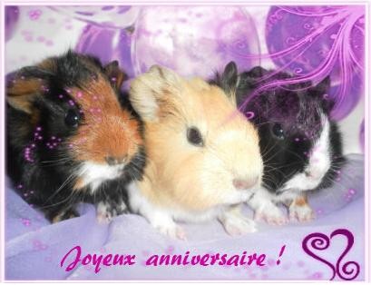 Bon Anniversaire Sylvie Bon Anniversaire Sylvie