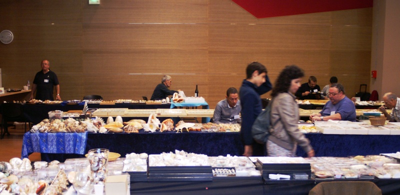 2012 Bourse Toulouges / Perpignan - 20 & 21 octobre Pict0061