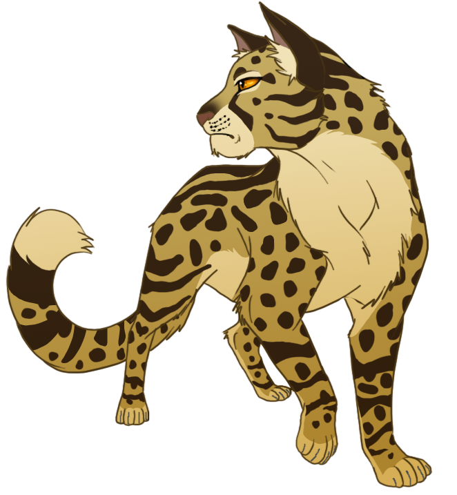 Leopardstar Leopar10